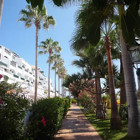 4 Santiago Playa Tenerife Estudio *