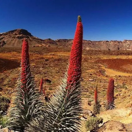 4 Santiago Playa Tenerife Estudio